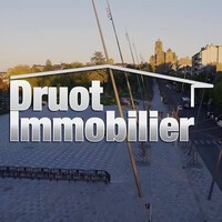 Druot Immobilier logo - Similar company to Bet Structural