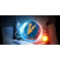 LionSoft logo - Similar company to Apphive