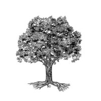 Pin Oak Investment Advisors logo - Similar company to Chart Champions