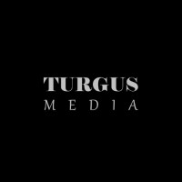 TURGUS MEDIA logo - Similar company to Vibe Design Ltd