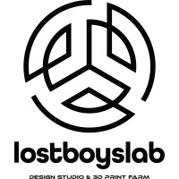 lostboyslab logo - Similar company to 3Dp.Se