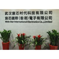 Wide Star International Electronics Company Limited logo - Similar company to Shenzhen Viewplay Co.,Ltd