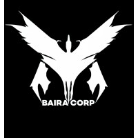 BAIRACORP PRIVATE LIMITED logo - Similar company to Digiphonics Technology