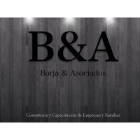 BORJA Y ASOCIADOS logo - Similar company to Borja Grau & Astecofis