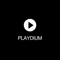 PlaydiumAI logo - Similar company to Cocharterai