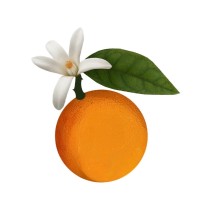 Valencia Development Group logo - Similar company to 4B Landscape & Construction Inc.