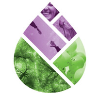 Udruženje za prevenciju ovisnosti NARKO-NE logo - Similar company to Rebrained®