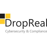 DropReal logo - Similar company to Gigam Net S.R.L
