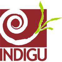 Indigu