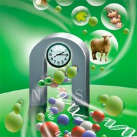 Bioclone Inc. logo - Similar company to Fórum Brasil Diverso