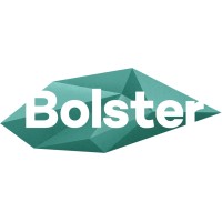 Bureau Bolster logo - Similar company to Ciiic