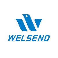 Welsend logo - Similar company to Datang Telecom Group