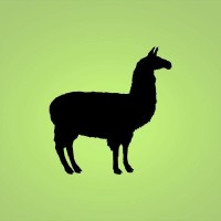 Bolivian Express logo - Similar company to Webfi