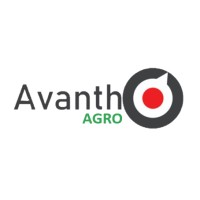 Avantho Consultoria logo - Similar company to Arbor Consulting