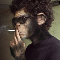 Society Monkey Agencia De Publicidad Digital