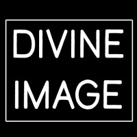 Divine Image logo - Similar company to Soundstream Multimedia