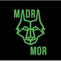 Madra Mor Boxing Academy logo - Similar company to Headon Boxing Academy