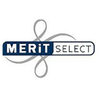 MERIT Select logo - Similar company to Consilium