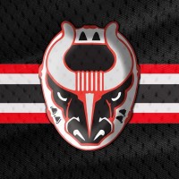 Birmingham Bulls Hockey