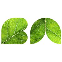 Baharash Architecture logo - Similar company to Urb