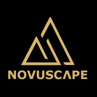 Novuscape logo - Similar company to Lynorg Technologies Limited