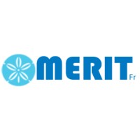 Communauté MERIT logo - Similar company to Losfor