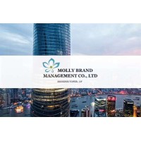 Molly Management Consulting Ltd Co