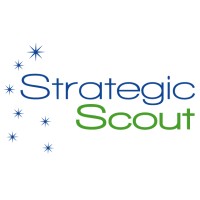 Strategic Scout logo - Similar company to Ifape