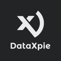 DataXpie logo - Similar company to Quickminutes