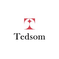 Tedsom logo - Similar company to Toogueda