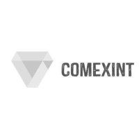 Consultores Comexint S.P.A. logo - Similar company to Coningenio.Cl