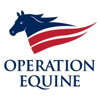 Operation EQUINE logo - Similar company to Accts