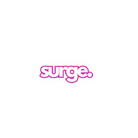 Surge Brands logo - Similar company to Surge Licensing