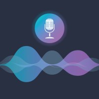 Professional Broadcast Voice Over Talent