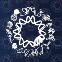 Instituto de Biotecnología UNAM logo - Similar company to Y.A.R. Protein Engineering & Optimization Solutions