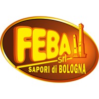 Feba srl logo - Similar company to D E D Automation S.R.L.