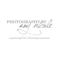 Photography by Amy Nicole logo - Similar company to Lux Gallery & Photography Studio