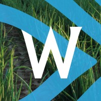 Waterman Onions B.V. logo - Similar company to Flevotrade