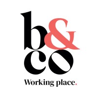 B&CO Girona logo - Similar company to Protechtex Solutions S.L.