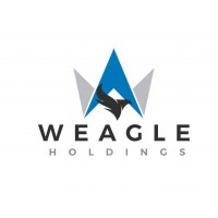 Weagle Holdings Limited logo - Similar company to Dream Financial Services