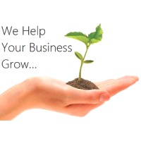 Healvisor Healthcare Consulting Group logo - Similar company to Apexqubit