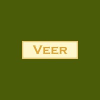 VEER GOLD LIMITED logo - Similar company to Setplay App