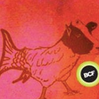 Communications Consultants, Inc. (BCF) logo - Similar company to Pingtone Communications (Now Fusion)