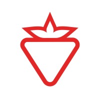 Çilek Holding