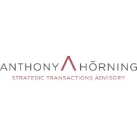 Strategic Transactions Advisory AG logo - Similar company to Saner Consulting