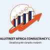 WALL STREET AFRICA CONSULTANCY(WSAC) Ltd logo - Similar company to Rockstone Management Company