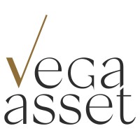 Vega Asset Management logo - Similar company to Tem Troco