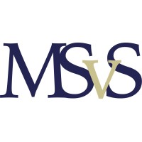 Msvs Coaching & Advies