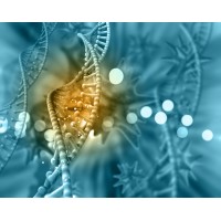 BioAccess, LLC. logo - Similar company to Bioaccess®: Fast-Tracking First-In-Human Trials, Anywhere