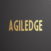 Agiledge logo - Similar company to Trexigo